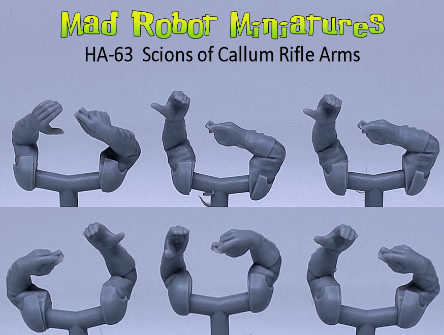 (image for) Scions of Callum Rifle Arms