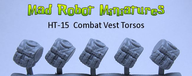 (image for) Combat Vest Torsos