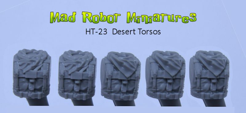 (image for) Desert Torsos